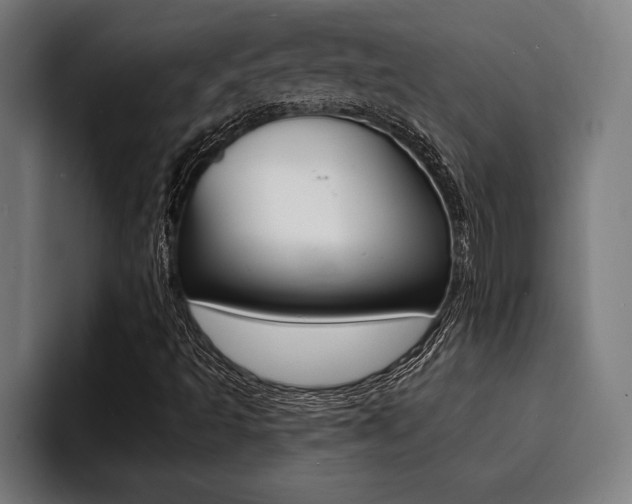 X0000094421493200711080948