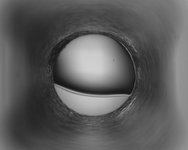 X0000094421494200711080948
