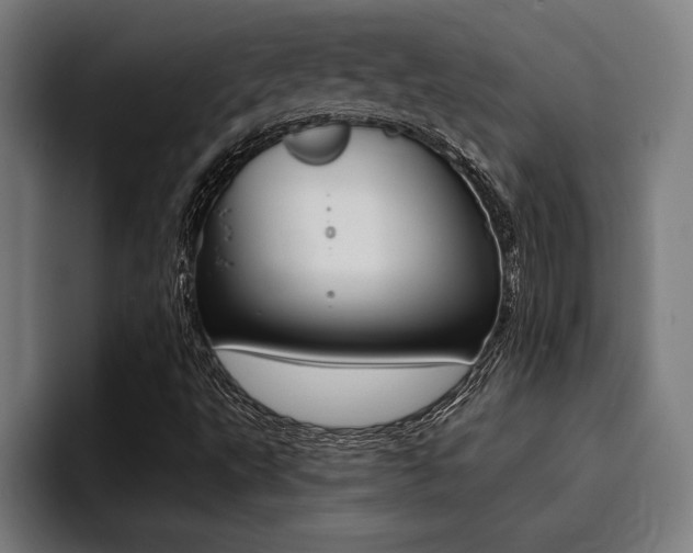 X0000094421495200711080948