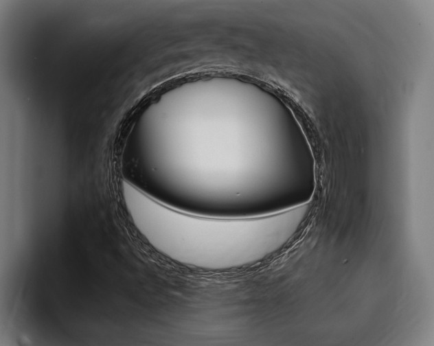 X0000094421496200711080948