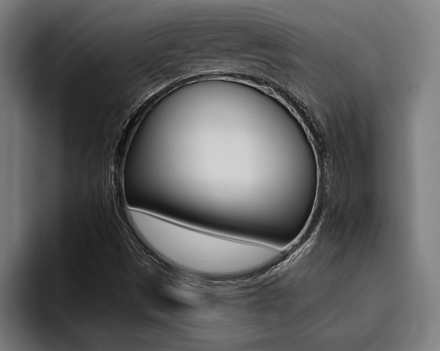 X0000094421497200711080948