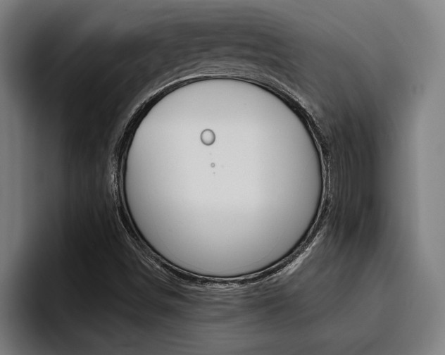 X0000094421498200711080948