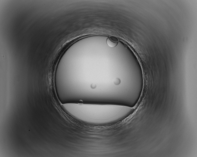 X0000094421499200711080948
