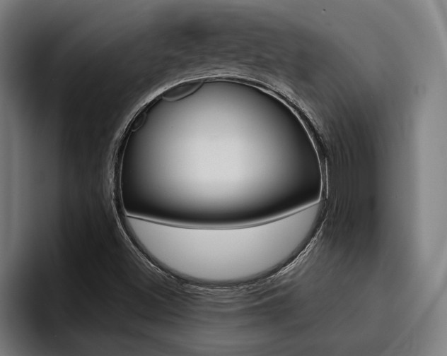 X0000094421500200711080948