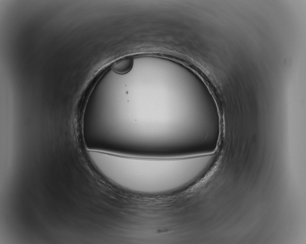 X0000094421501200711080948