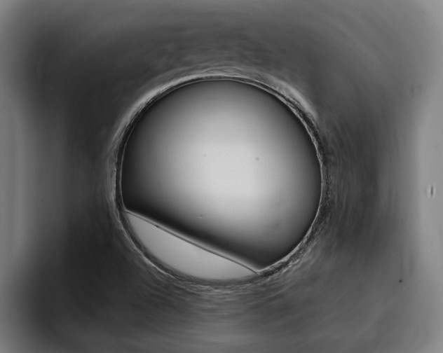 X0000094421504200711080948
