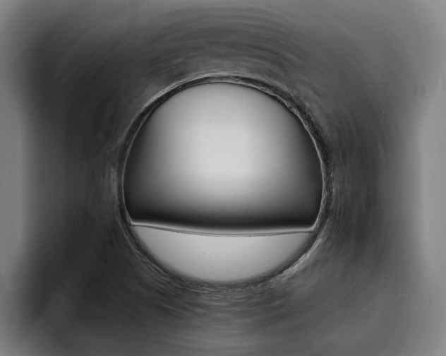 X0000094421505200711080948