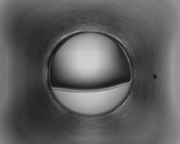 X0000094421507200711080948
