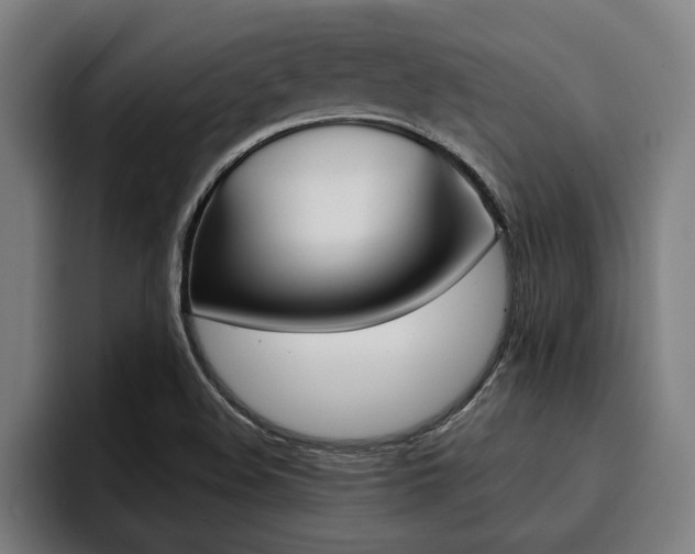 X0000094421508200711080948