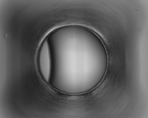 X0000094421510200711080948