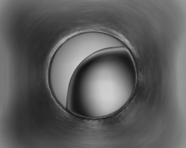 X0000094421512200711080948