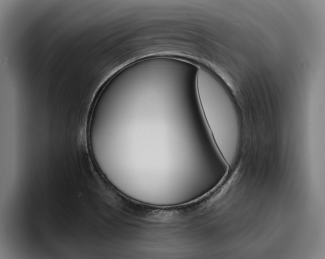 X0000094421513200711080948
