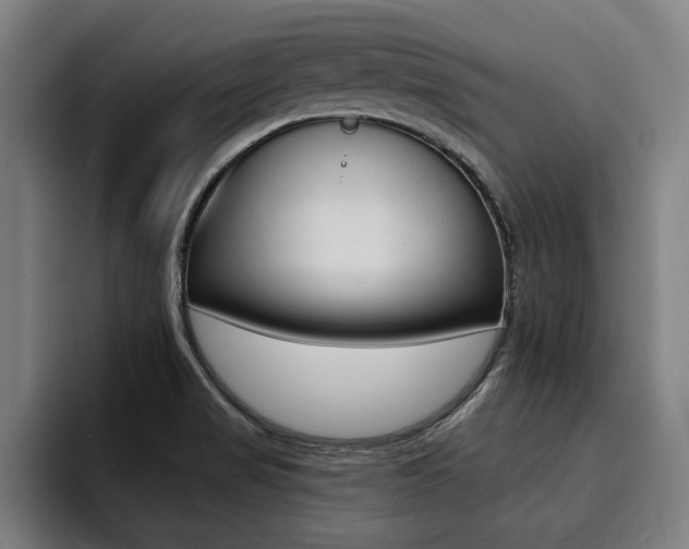 X0000094421517200711080948