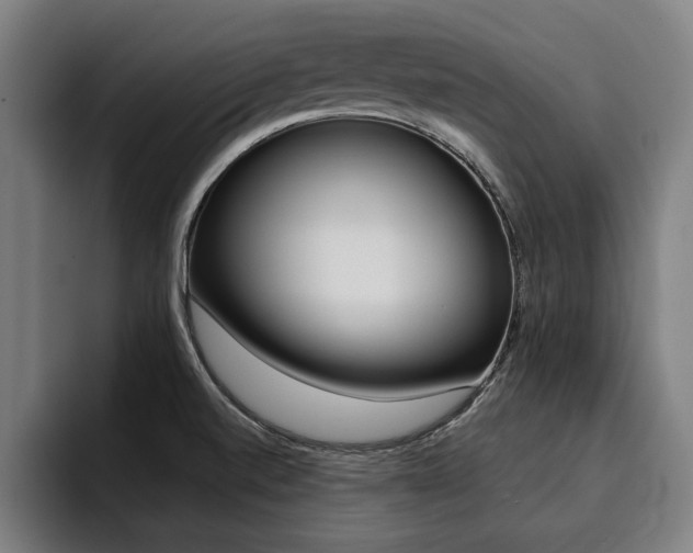 X0000094421520200711080948