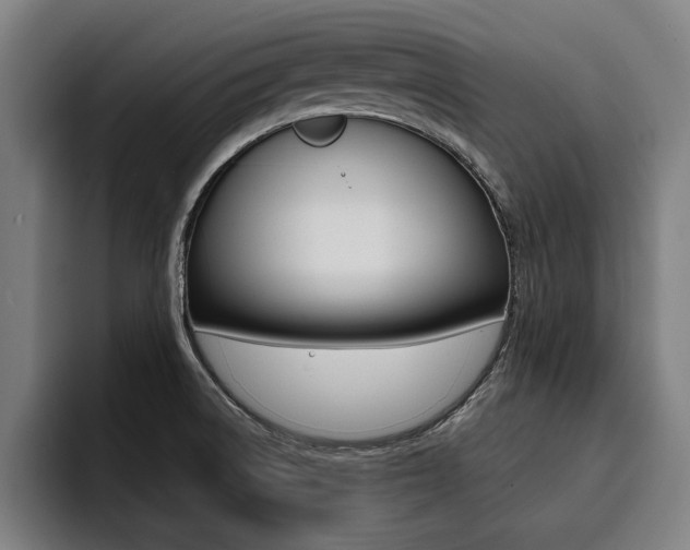 X0000094421522200711080948