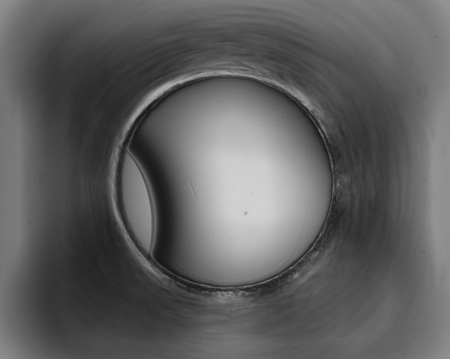 X0000094421523200711080948
