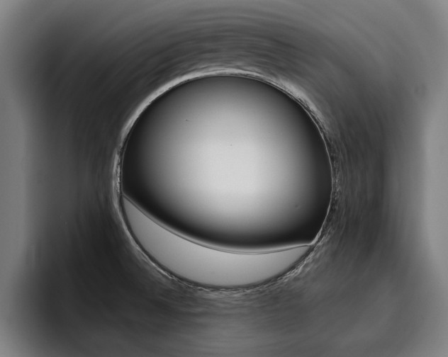 X0000094421524200711080948