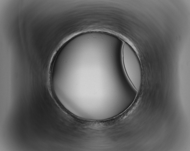 X0000094421525200711080948