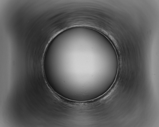 X0000094421529200711080948