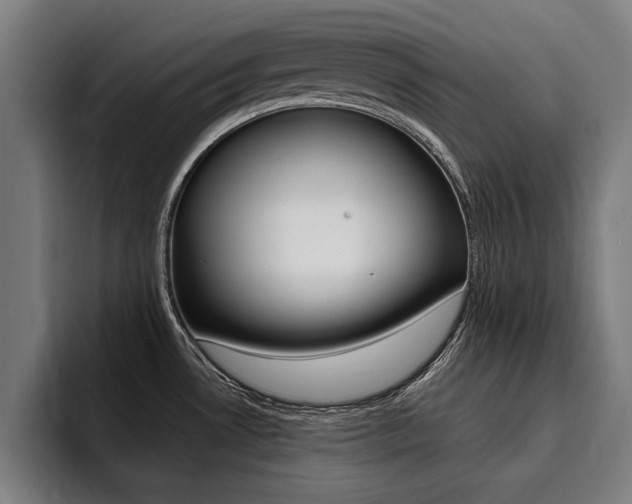 X0000094421530200711080948