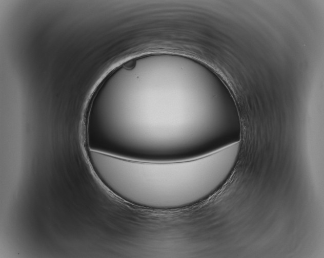 X0000094421531200711080948