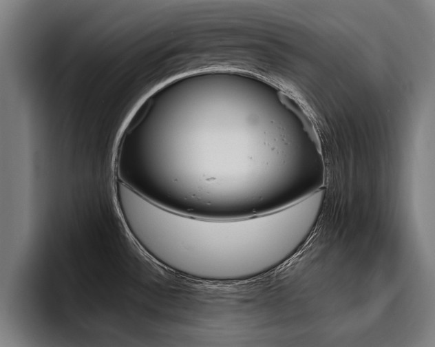 X0000094421532200711080948
