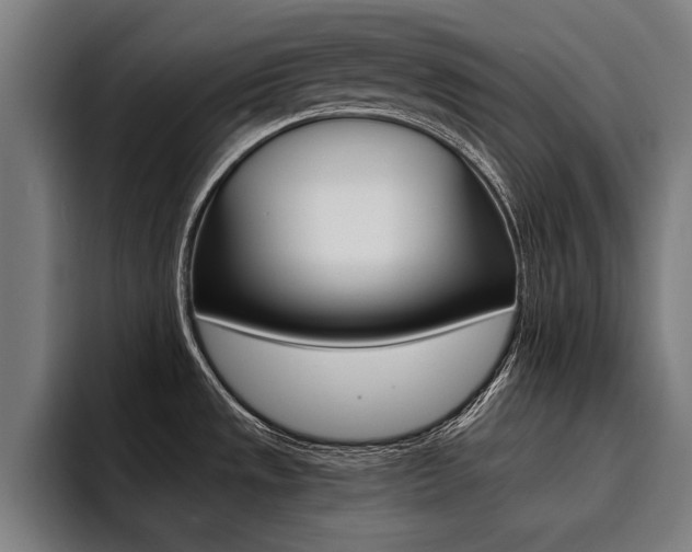 X0000094421533200711080948