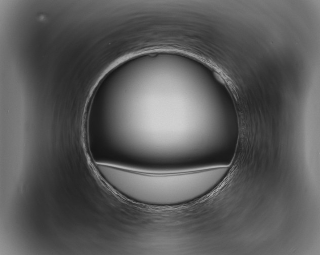 X0000094421534200711080949