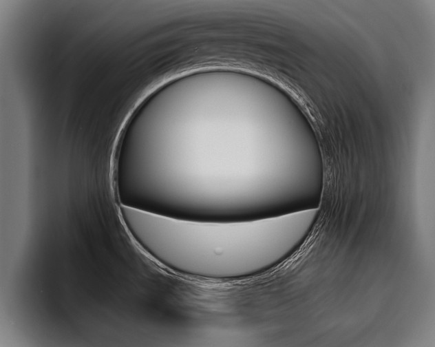 X0000094421535200711080949