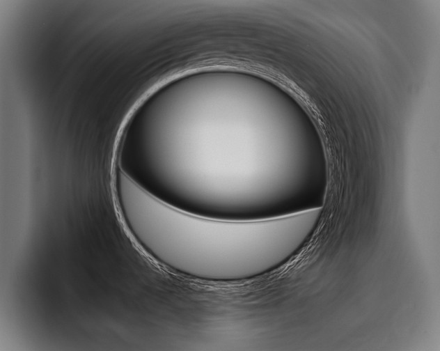 X0000094421536200711080949