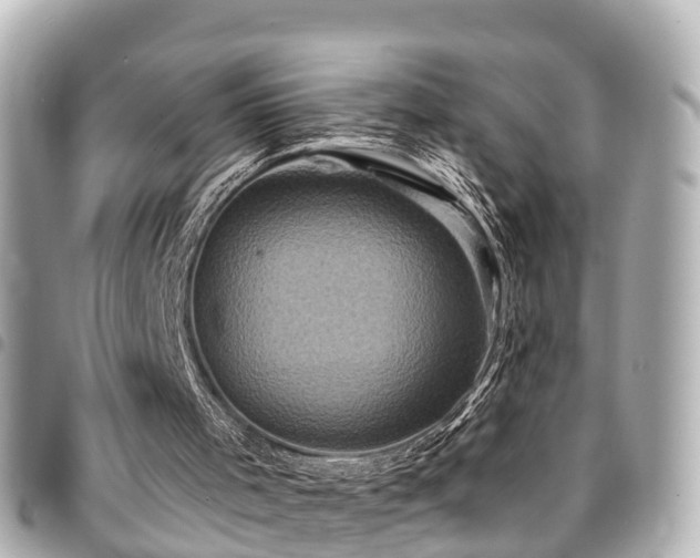 X0000094420001200711081145
