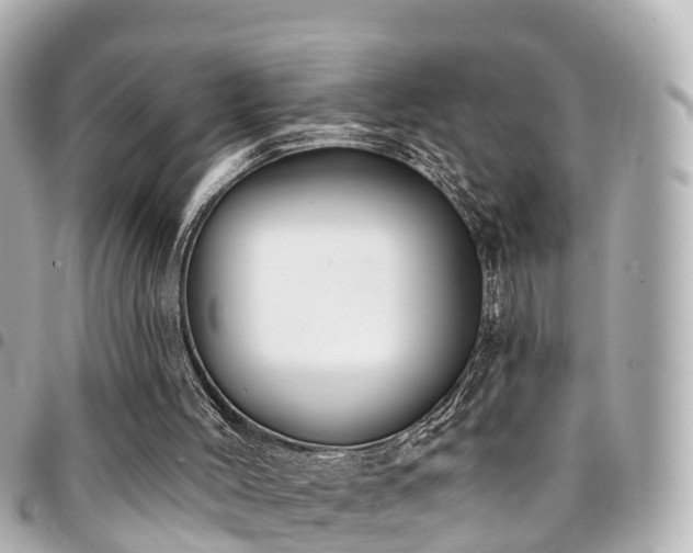 X0000094420004200711081145