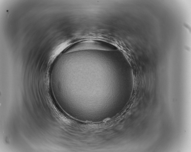 X0000094420005200711081145