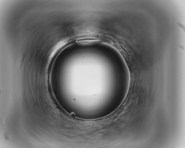 X0000094420006200711081145