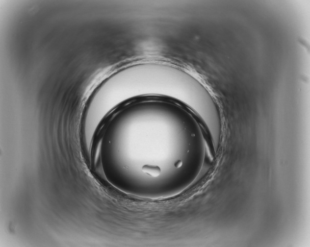 X0000094420007200711081145