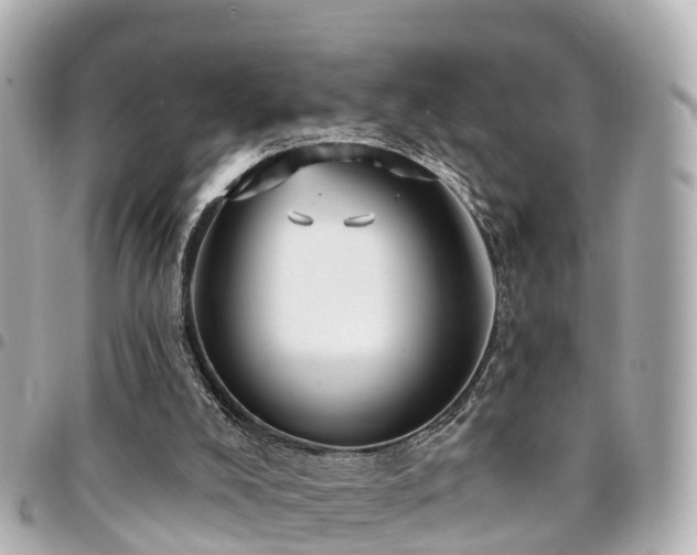 X0000094420008200711081145