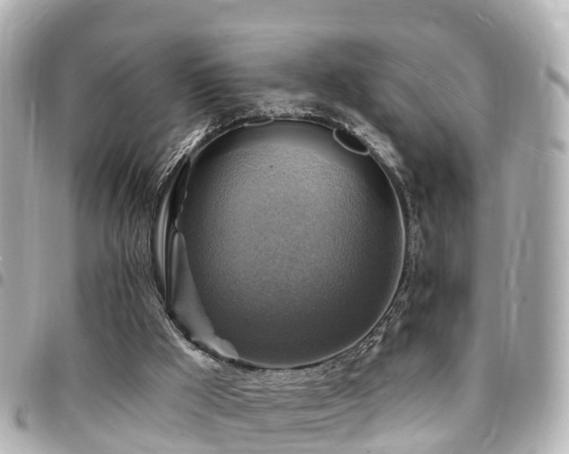 X0000094420009200711081145