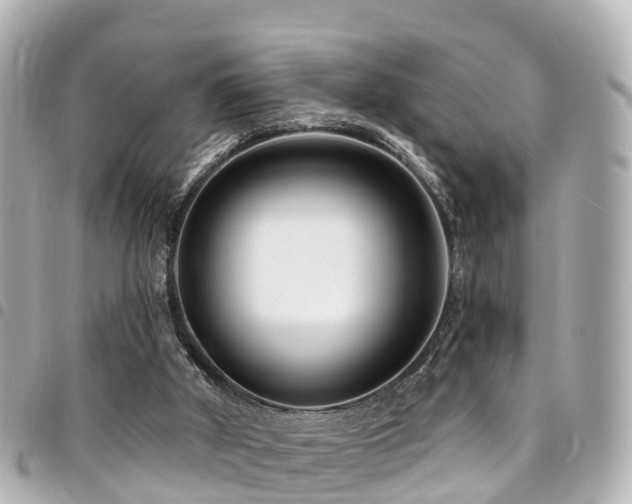 X0000094420010200711081145