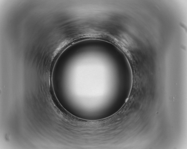 X0000094420011200711081145