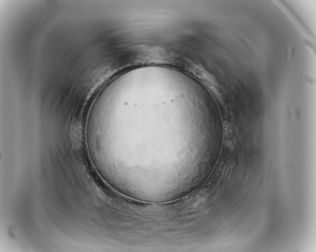 X0000094420012200711081145