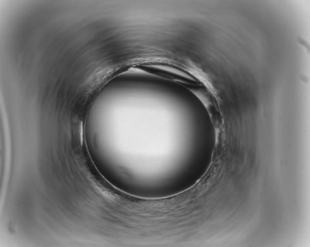 X0000094420013200711081145