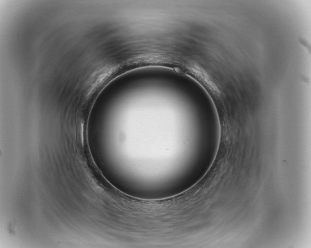 X0000094420014200711081145