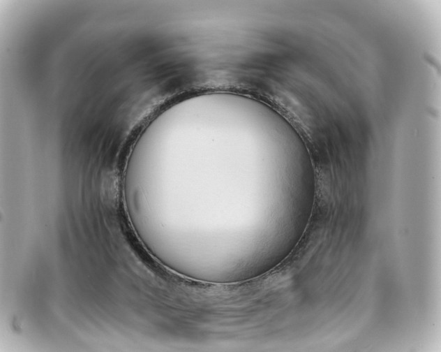 X0000094420016200711081145