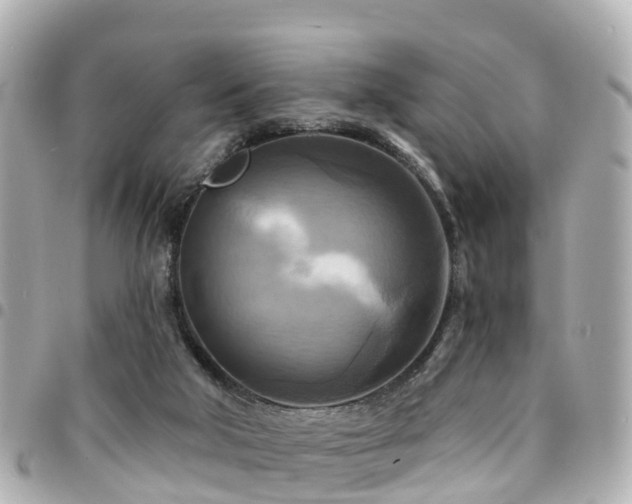 X0000094420018200711081145