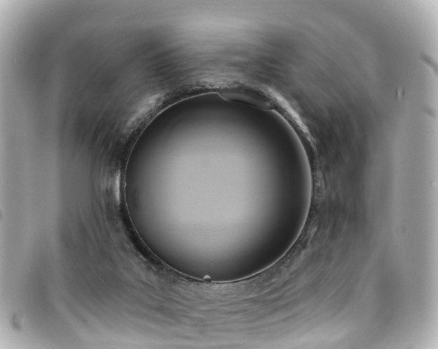 X0000094420019200711081145