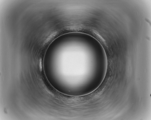 X0000094420020200711081145