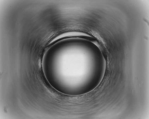 X0000094420021200711081145