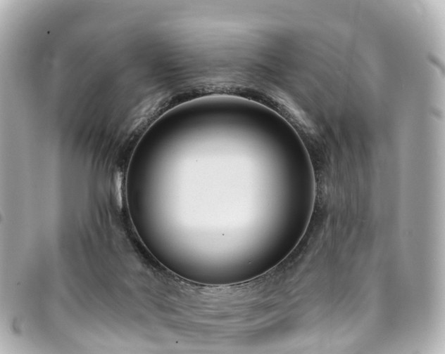 X0000094420022200711081145