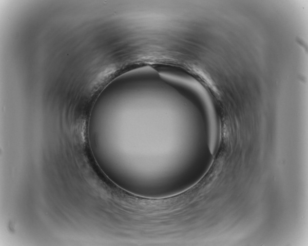 X0000094420023200711081145