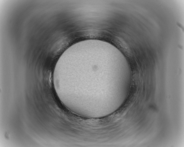 X0000094420024200711081145